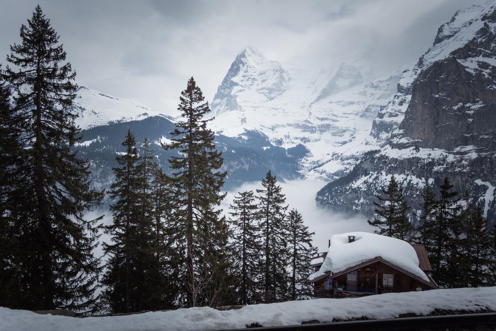 Hotel Alpenblick Muerren מראה חיצוני תמונה