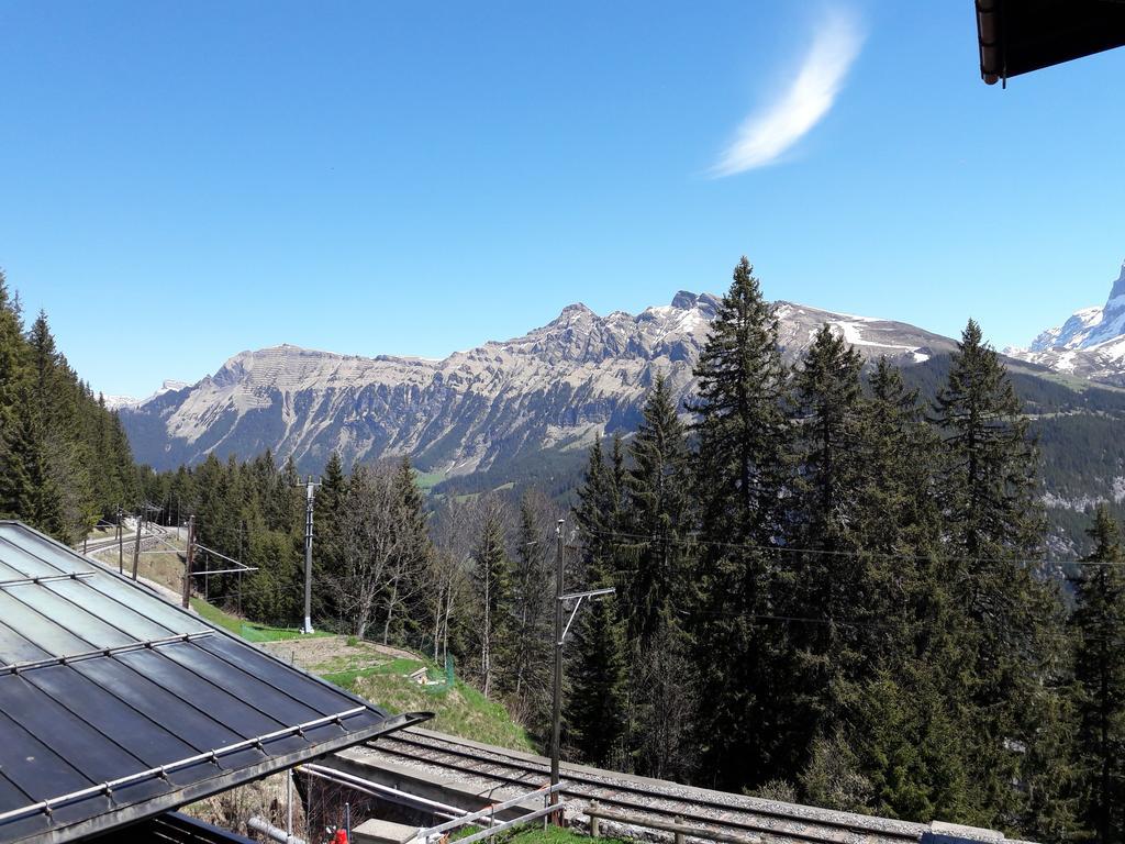 Hotel Alpenblick Muerren מראה חיצוני תמונה