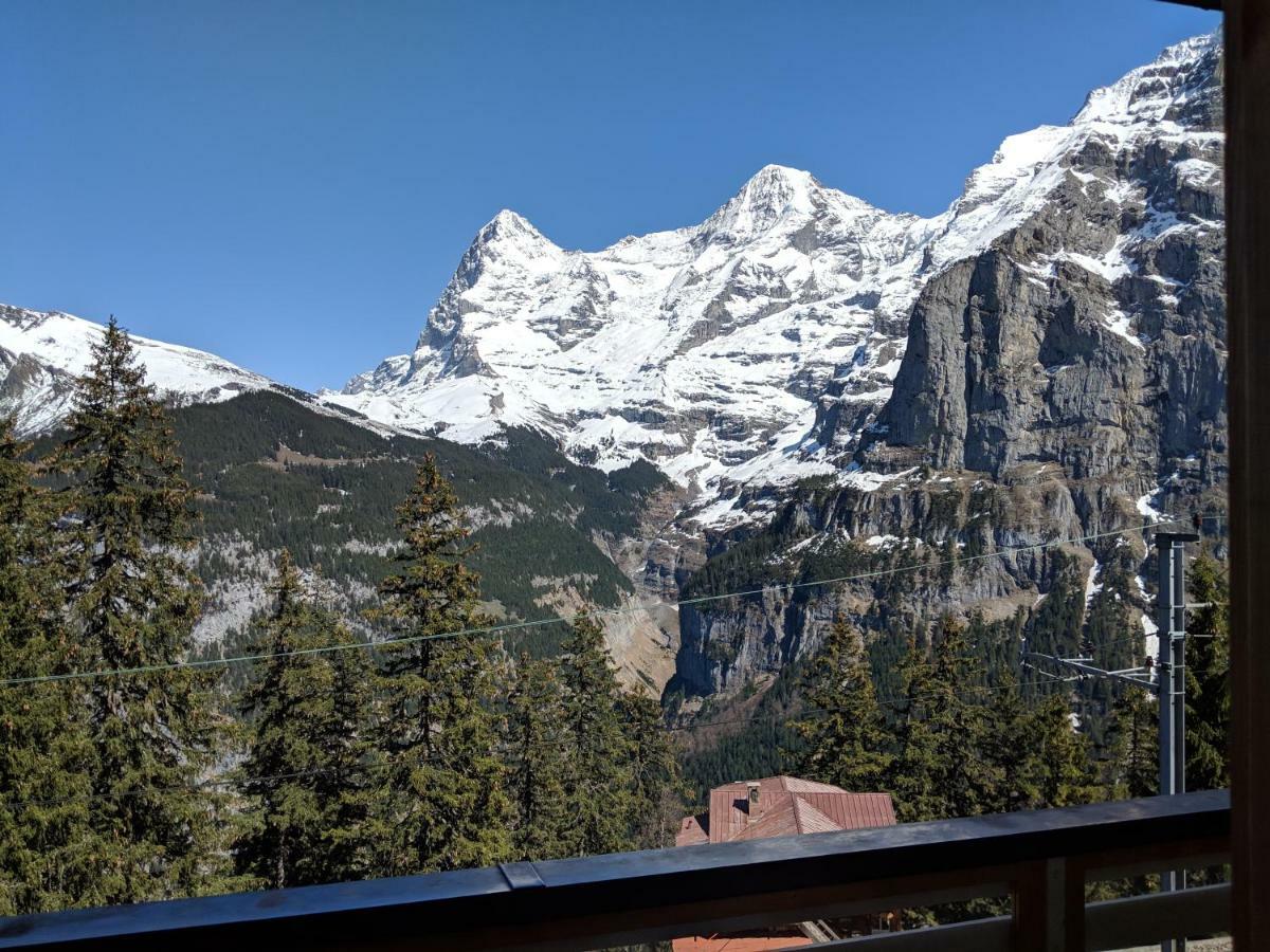 Hotel Alpenblick Muerren מראה חיצוני תמונה