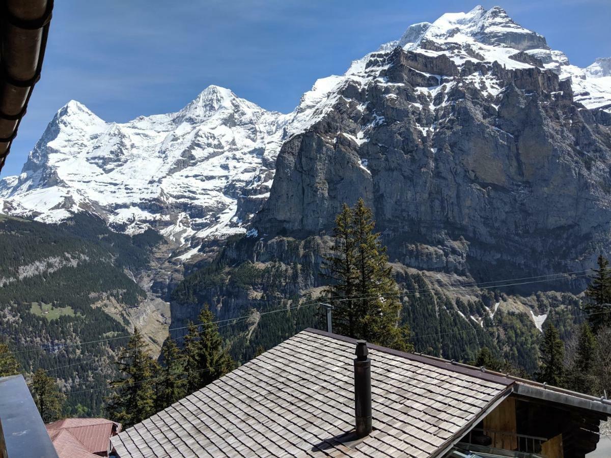 Hotel Alpenblick Muerren מראה חיצוני תמונה